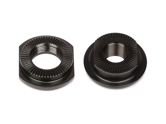 BSD Revolution Cone