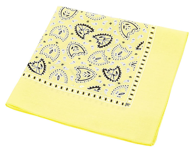 S&M Bandana | Buy now at Blue Groove BMX Shop