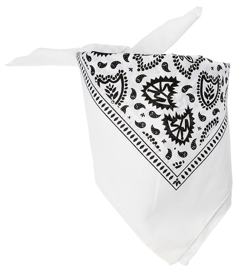 S&M Bandana | Buy now at Blue Groove BMX Shop