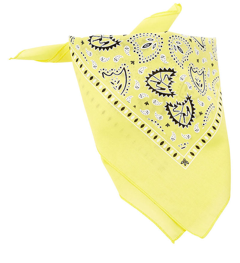 S&M Bandana | Buy now at Blue Groove BMX Shop