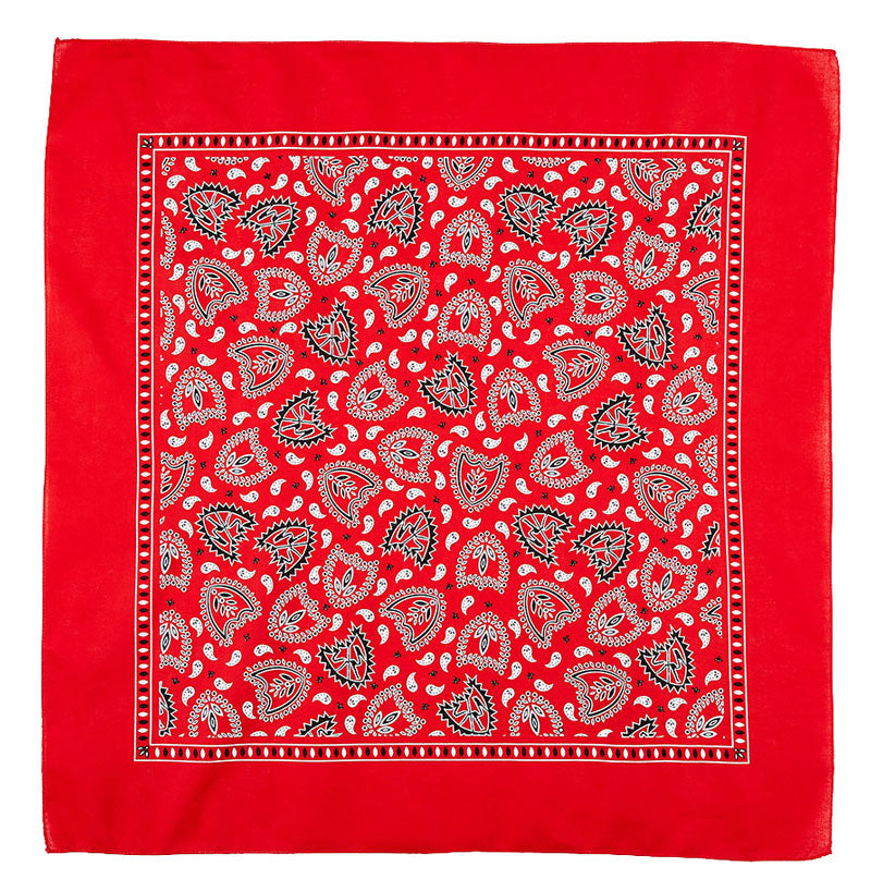 S&M Bandana | Buy now at Blue Groove BMX Shop