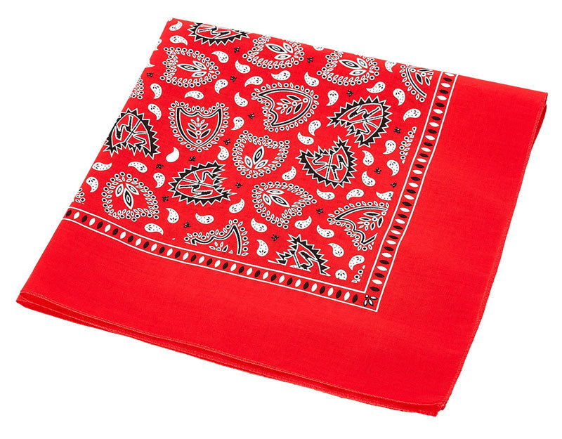 S&M Bandana | Buy now at Blue Groove BMX Shop
