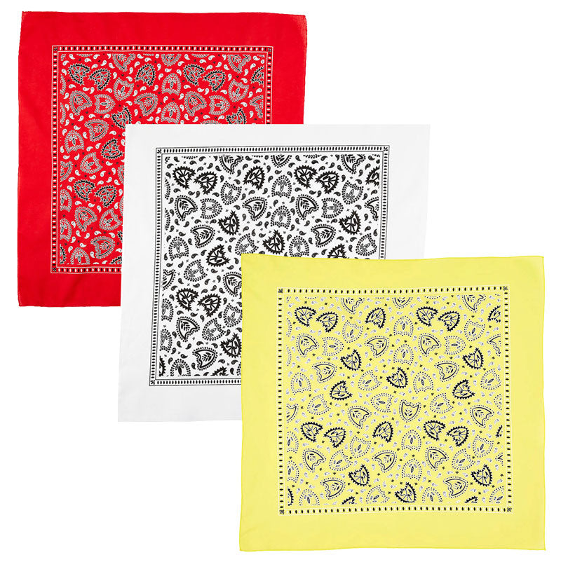 S&M Bandana | Buy now at Blue Groove BMX Shop