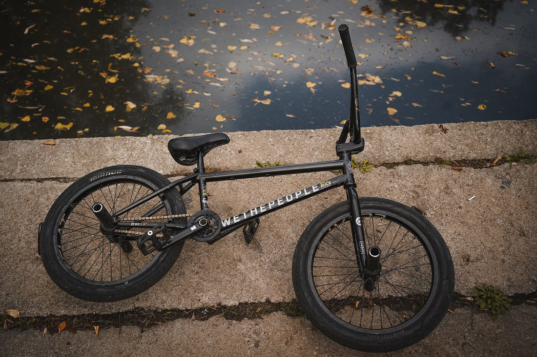 Dillon Lloyd with his Wethepeople BMX