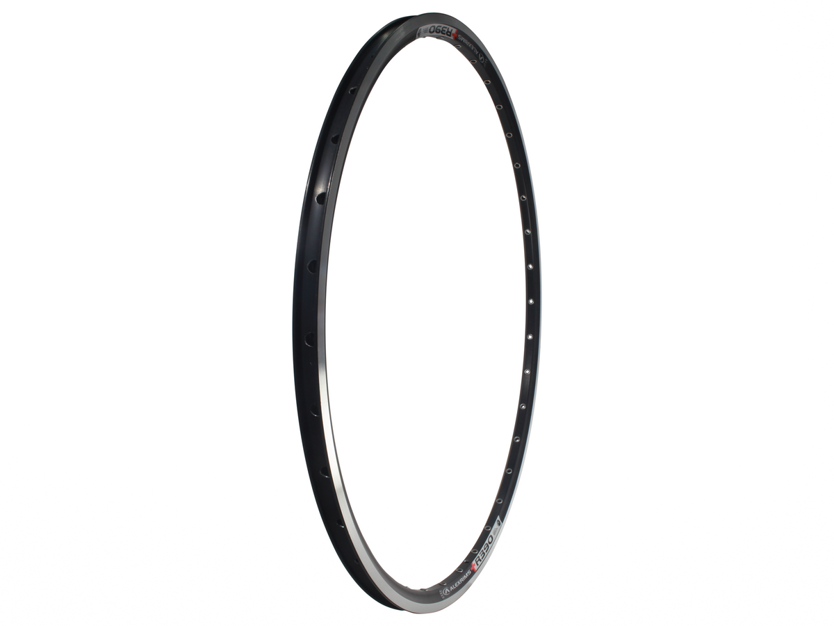 ALEX R390 Rim
