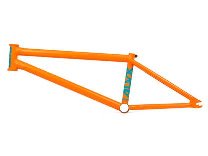 BSD ALVX AF+ (Alex Donnachie) Frame – additional product view