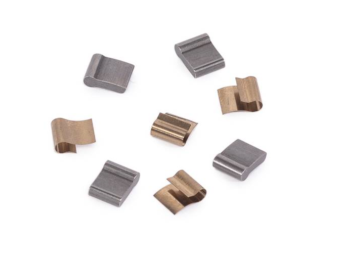 Éclat Cortex CS Pawl/Spring Set