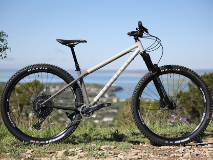 Fairdale 29" Elevator Bike – additional product view