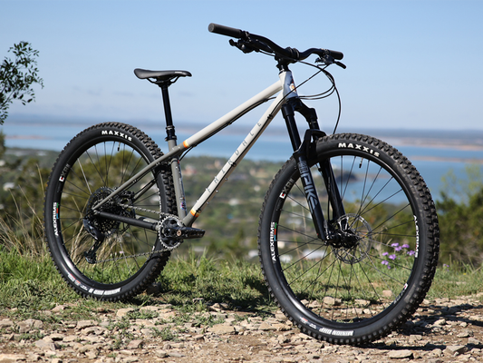Fairdale 29" Elevator Bike