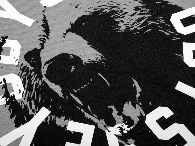 Odyssey Bear Central T-Shirt – Medium
