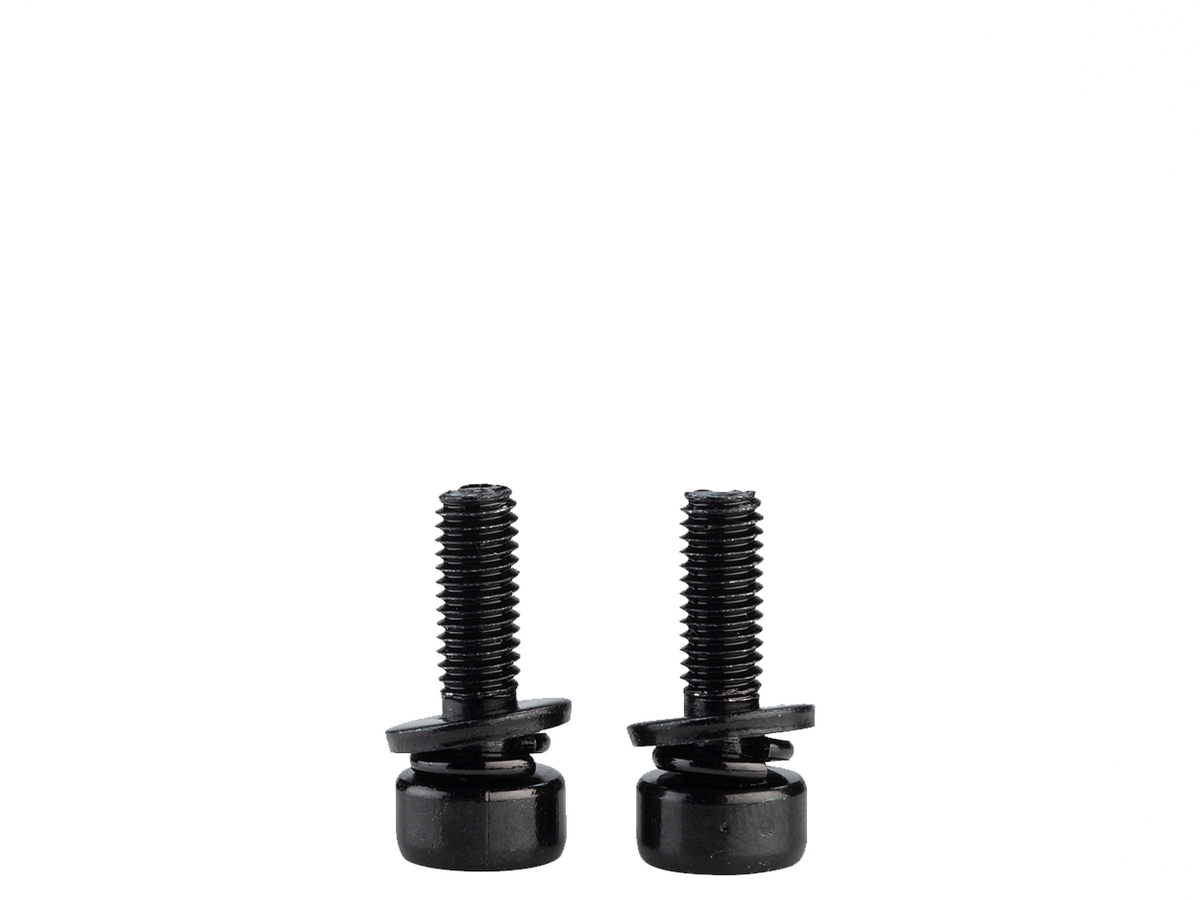 Promax M5 Disc Brake Caliper Mounting Bolts – M5 X 21 mm