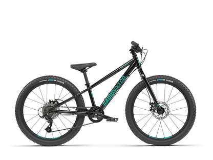 Radio 24" Zuma Bike – additional product view