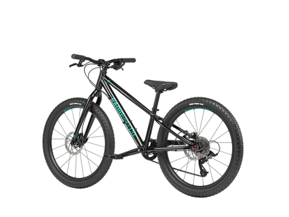 Radio 24" Zuma Bike – additional product view