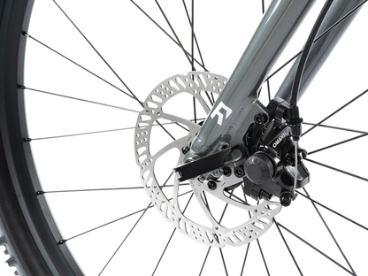 Radio 26" Zuma Bike – additional product view