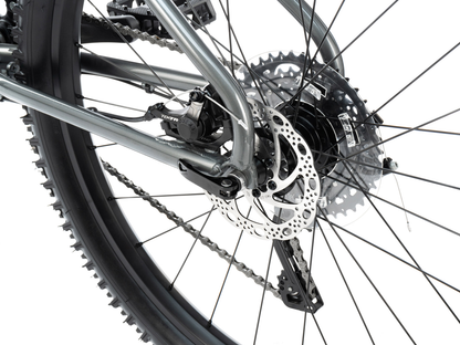 Radio 26" Zuma Bike – additional product view