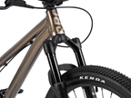 Radio 24" Griffin Bike – additional product view