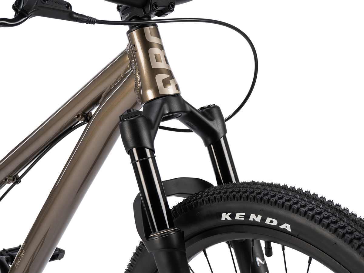 Radio 24" Griffin Bike – additional product view