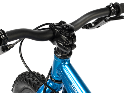Radio 14" Zuma Bike
