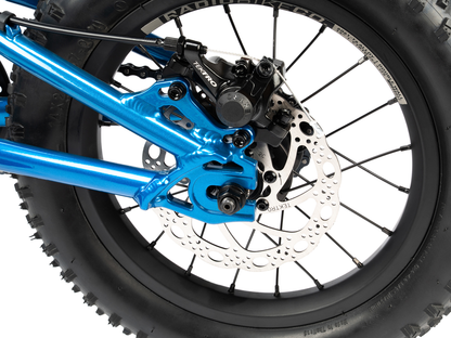 Radio 14" Zuma Bike