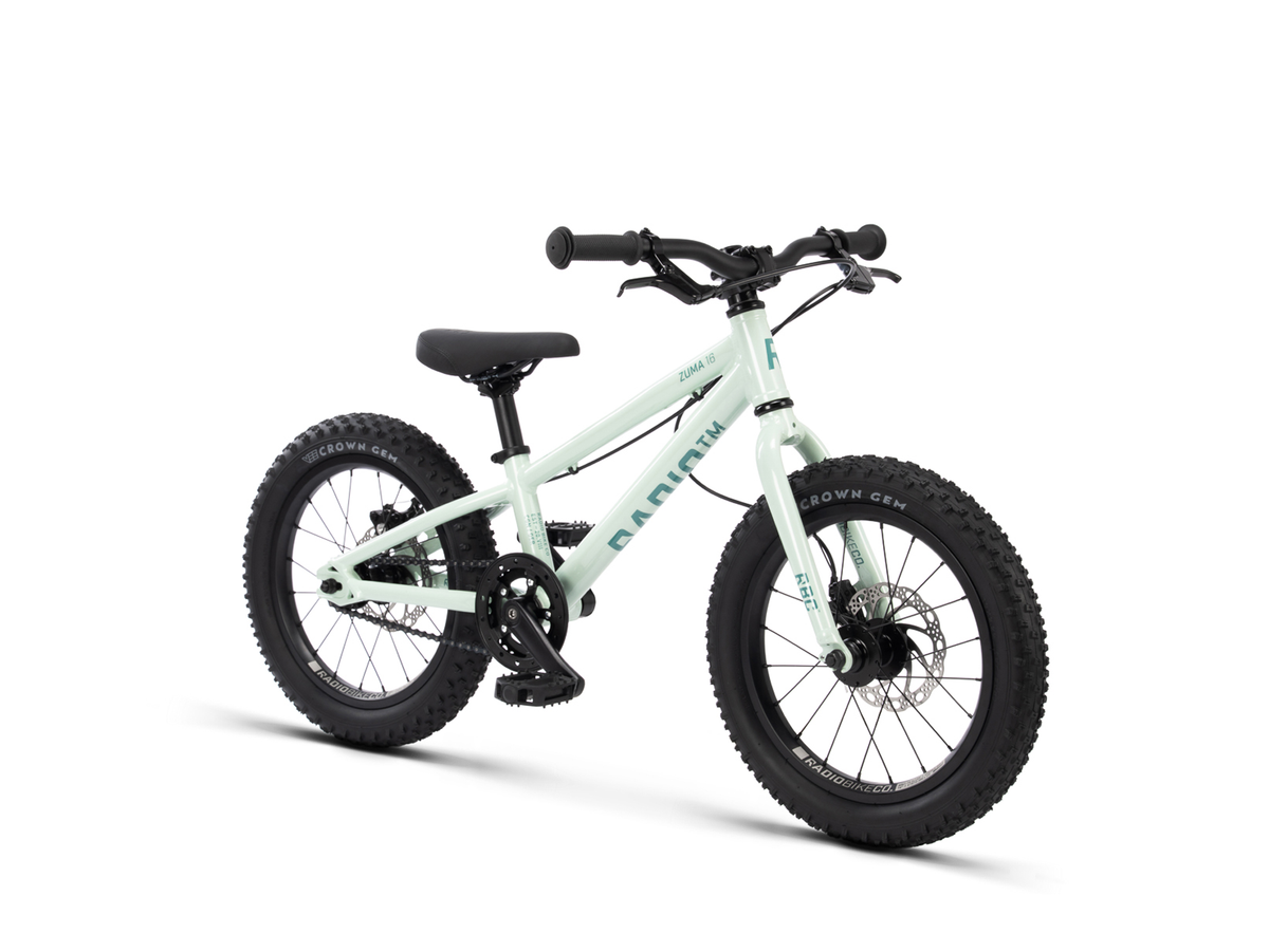 Radio 16" Zuma Bike – Bright Mint Metallic