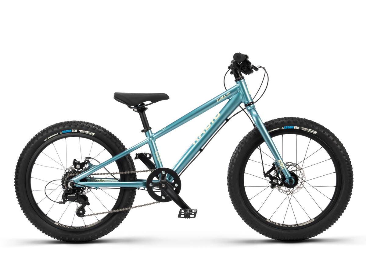 Radio 20" Zuma Bike – additional product view