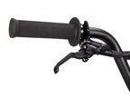 Radio Raceline 20" Xenon Expert Disc Bike – additional product view