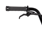 Radio Raceline 20" Quartz Pro Disc Bike – Wh: 20" - Tt: 21.75"