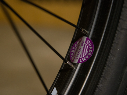 Sunday 20" Silvawave (Brett Silva) Bike – additional product view