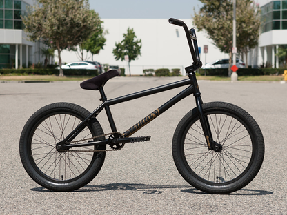 Sunday 20" Forecaster (Broc Raiford) Bike – additional product view