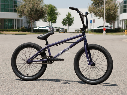 Sunday 20" Forecaster Park (Maca Grasset) Bike