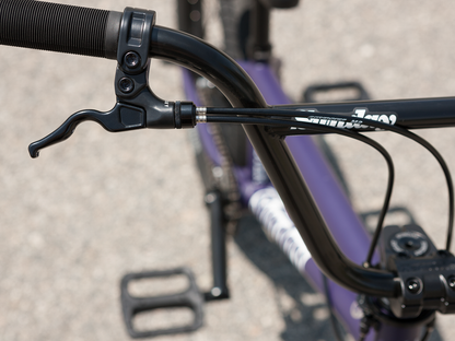 Sunday 20" Forecaster Park (Maca Grasset) Bike