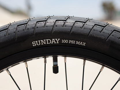 Sunday 20" Street Sweeper (Jake Seeley) Bike