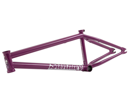Sunday Street Sweeper (Jake Seeley) Frame – additional product view