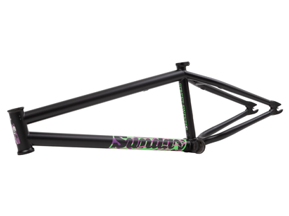Sunday Street Sweeper (Jake Seeley) Frame – additional product view