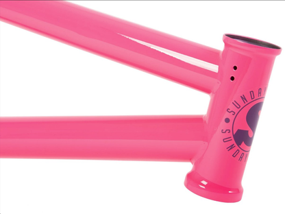 Sunday Street Sweeper (Jake Seeley) Frame – Gloss Berry / Wh: 20" - Tt: 21.0"