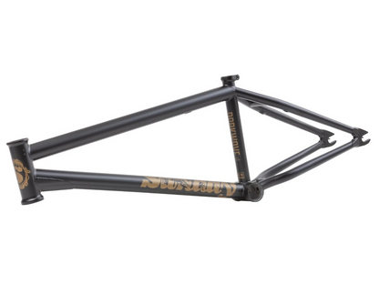 Sunday Darkwave (Broc Raiford) Frame – additional product view