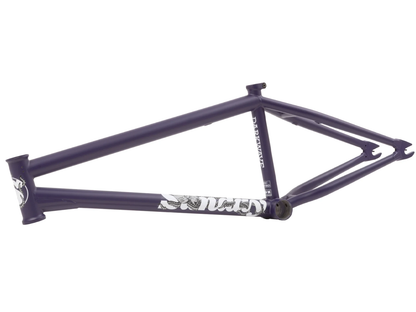 Sunday Darkwave (Broc Raiford) Frame – additional product view