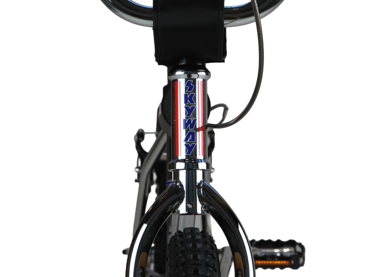 Skyway 20" TA 20 Replica 2026 Bike – additional product view