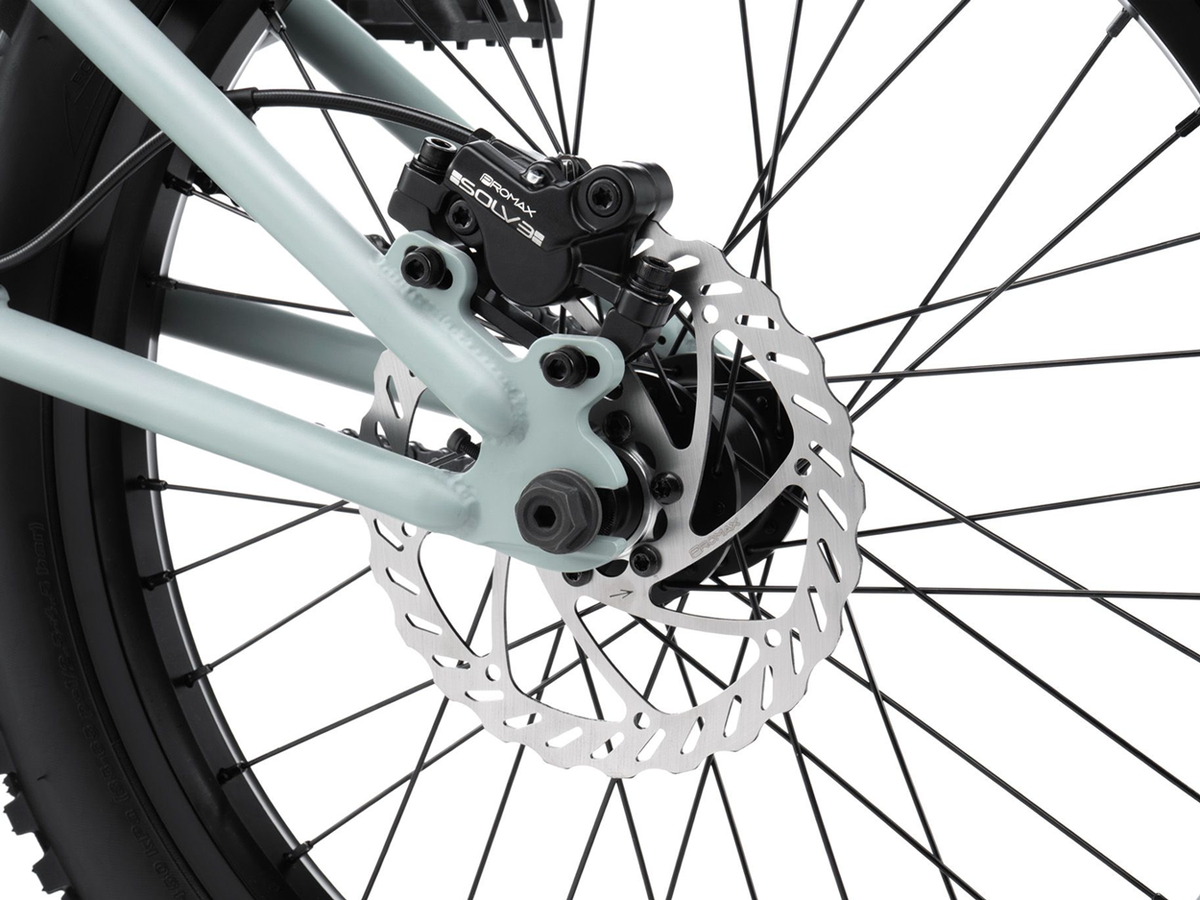 Wethepeople 20" The Swampmaster Bike – additional product view