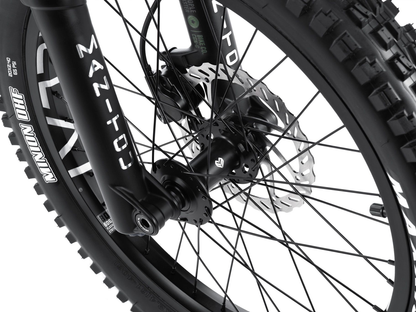 Wethepeople 20" The Swampmaster Bike – additional product view