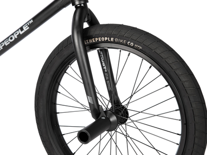 Wethepeople 20" Trust Freecoaster Bike – additional product view