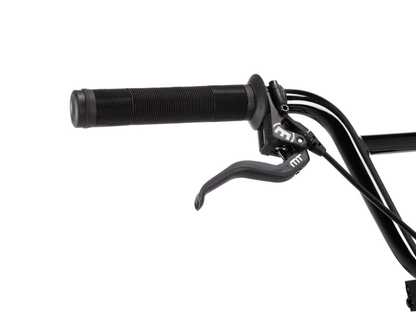 Wethepeople 24" The Atlas Disc Bike – additional product view