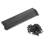 Éclat BMX Spokes - 40 Pack