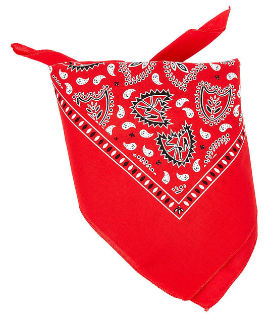 S&M Bandana | Buy now at Blue Groove BMX Shop