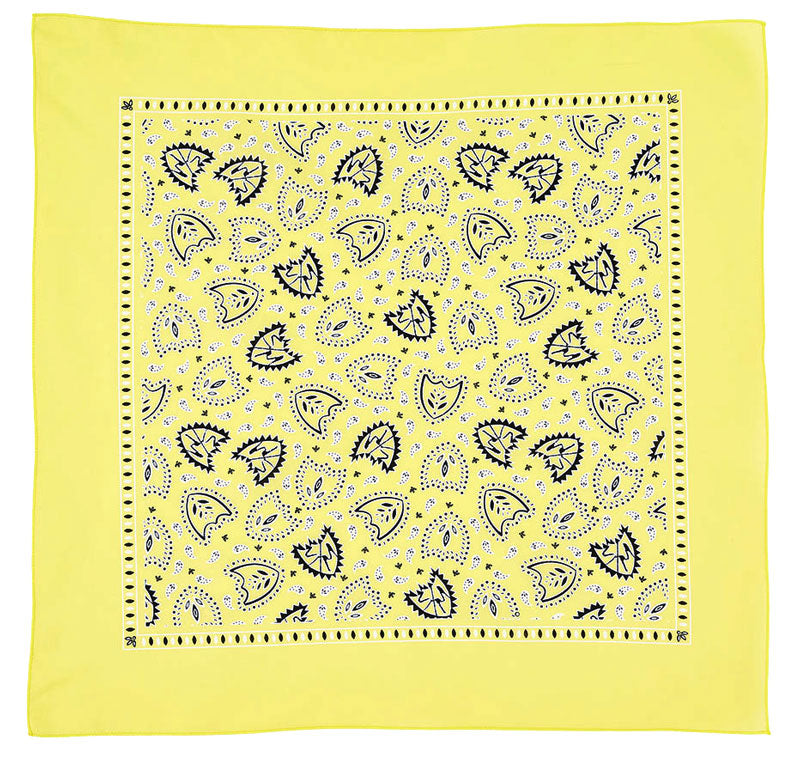 S&M Bandana | Buy now at Blue Groove BMX Shop